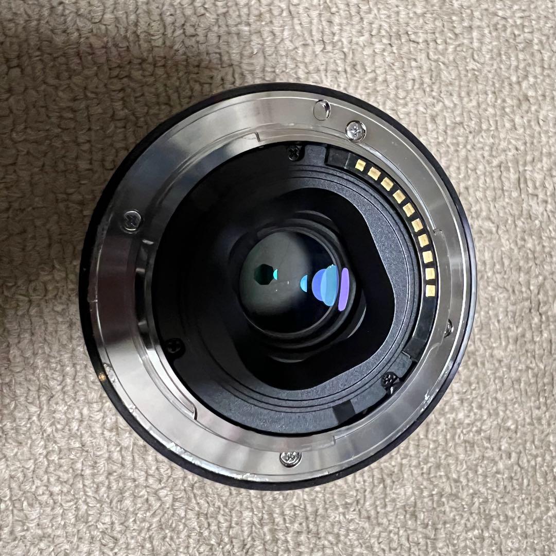 花　SONY SEL35F18 Eマウントレンズ