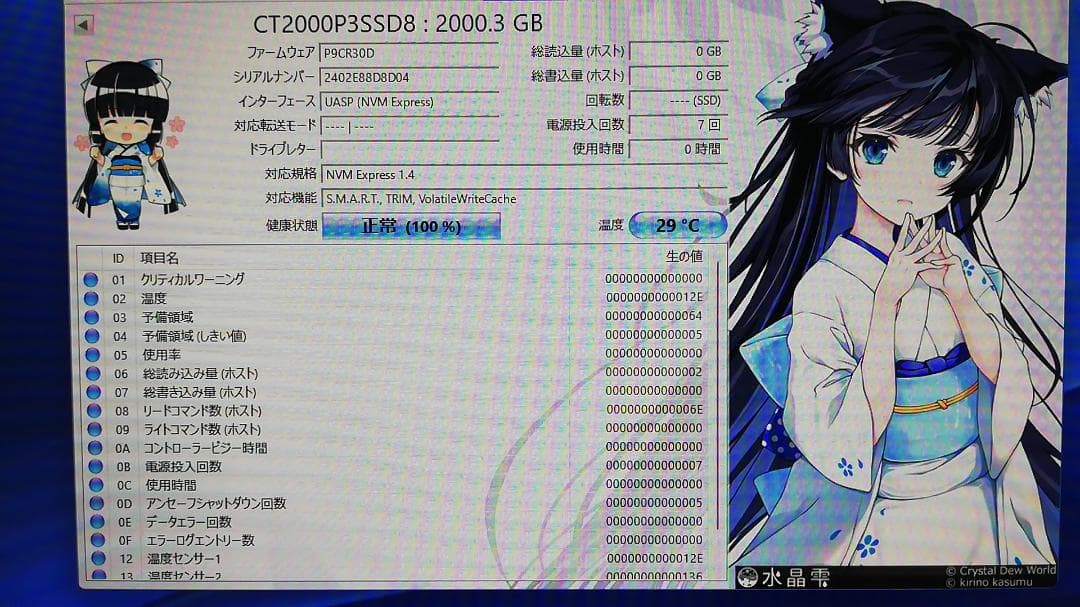 内蔵型SSD Crucial P3 2000GB NVMe M.2 2280 SSD