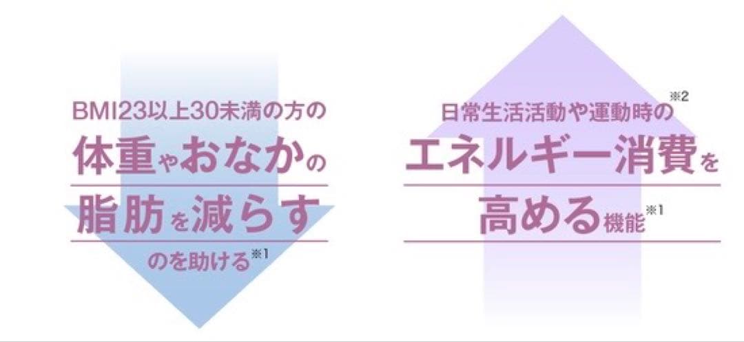 メタバリア 葛の花イソフラボンEX 13ヶ月分セット