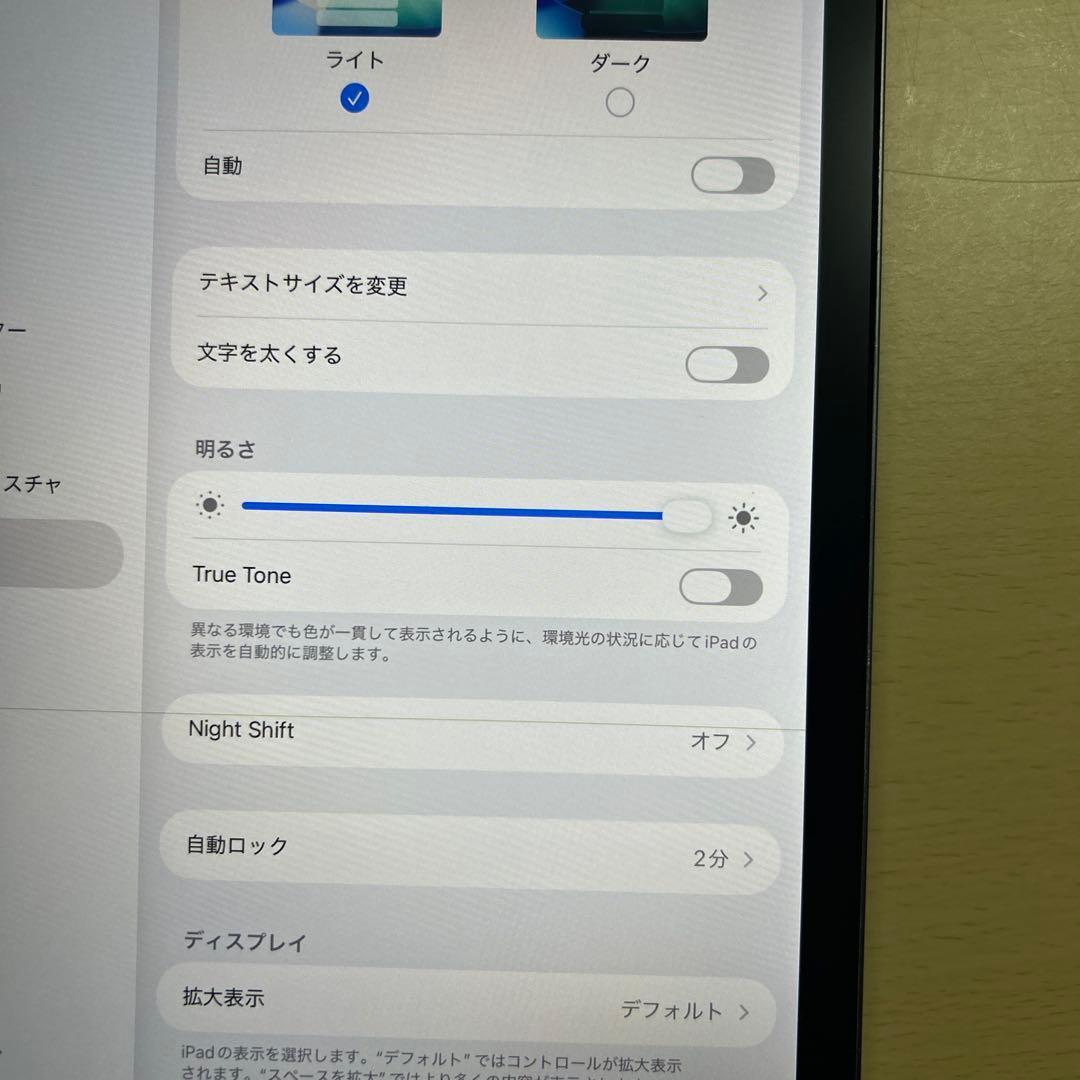 iPad Pro 11インチ　第1世代　512GB セルラーモデル　割れなし