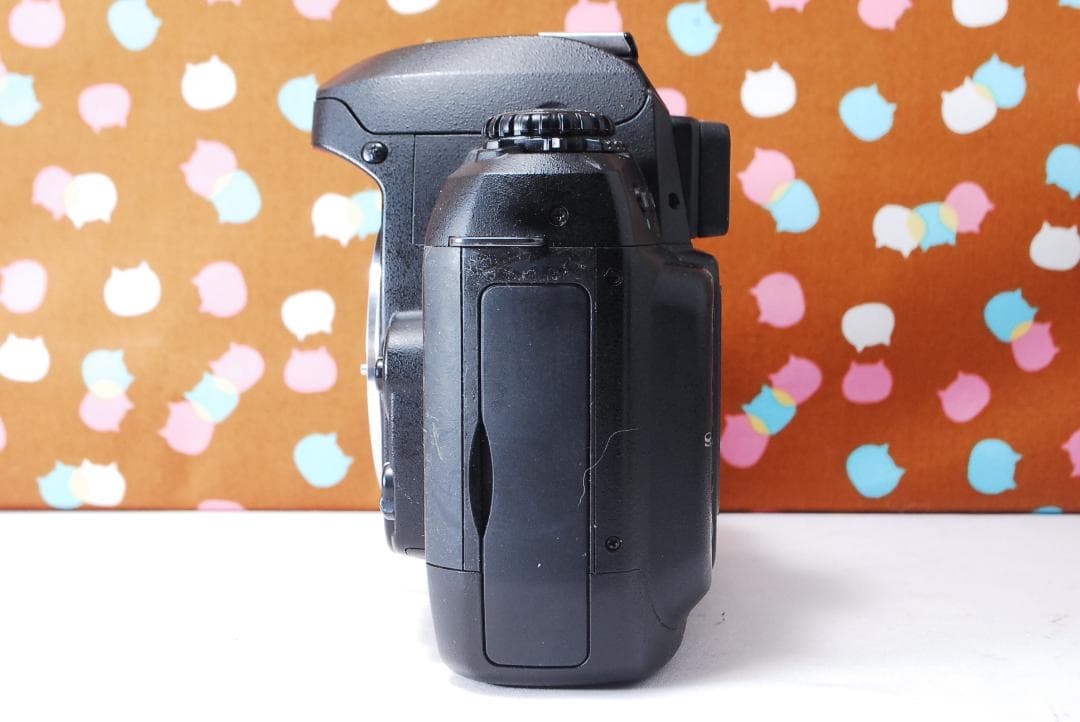 ✨美品✨ハイアマチュア機✨Nikon D100 レンズセット