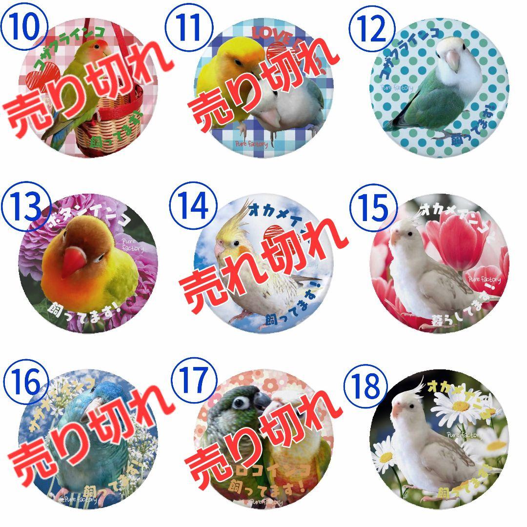 【新品】インコ・オウム・フィンチ類・小鳥類・飼ってます♪等缶バッジ・各種♪