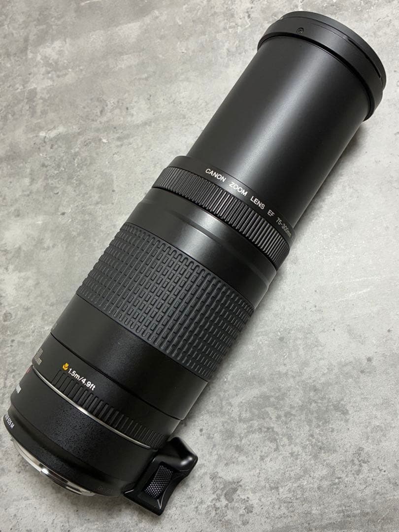 ⭐️美品⭐️Canon EFS 75-300 II & EF-EOS M アダプター