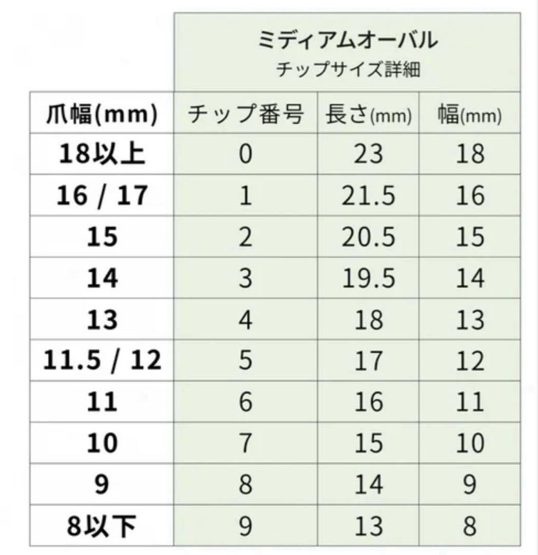 RIPINAIリピネイル　EVERNAIL エバーネイル　ネイルチップ　繰り返し