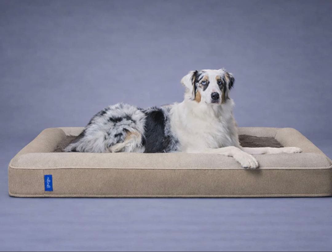 guguドギー 犬用ベッド　Lサイズ　ベージュ