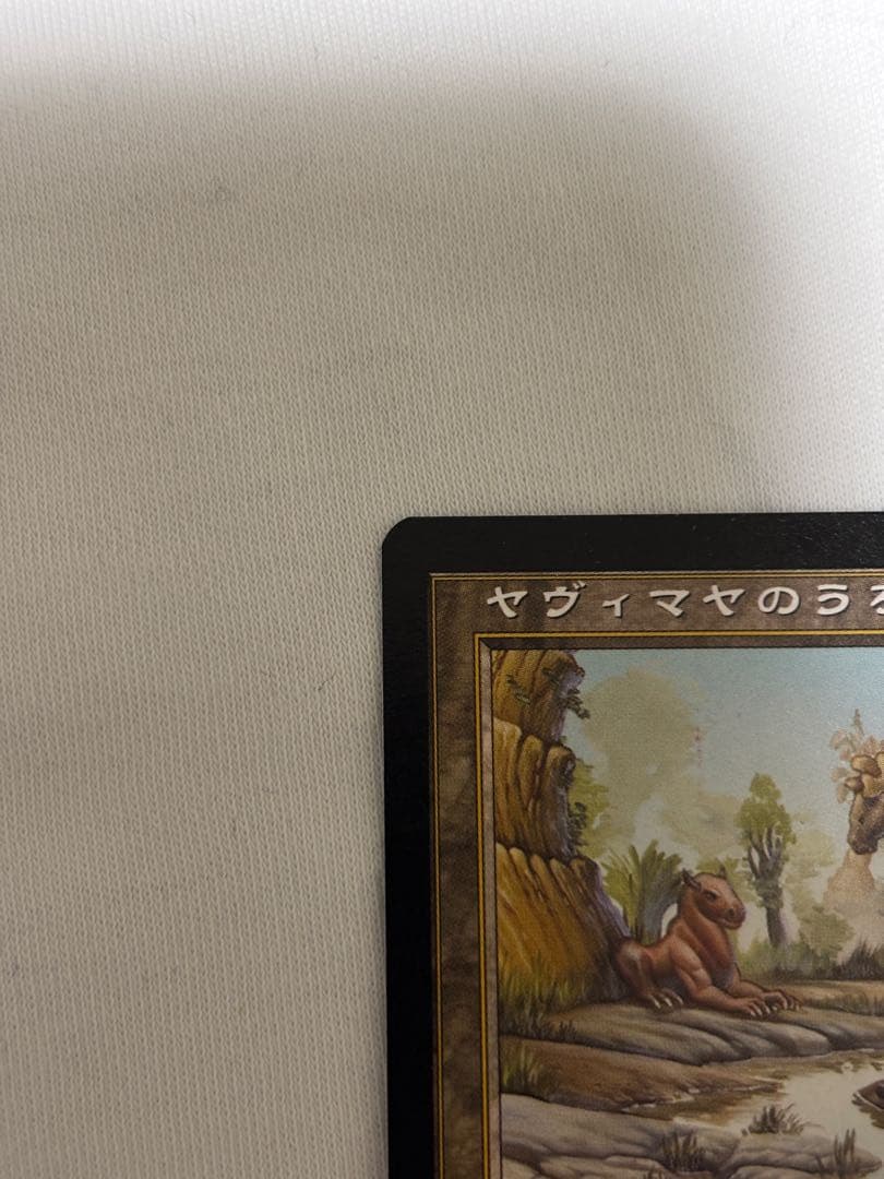 MTG ヤヴィマヤのうろ穴 日本語 旧枠 伝説の土地