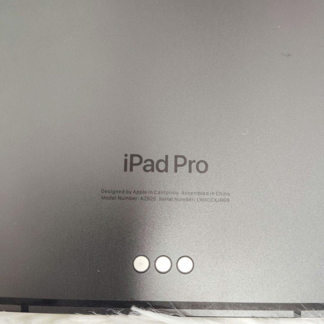 【美品】iPad Pro M4 13インチ　256GB充電器　タッチペン　箱完備