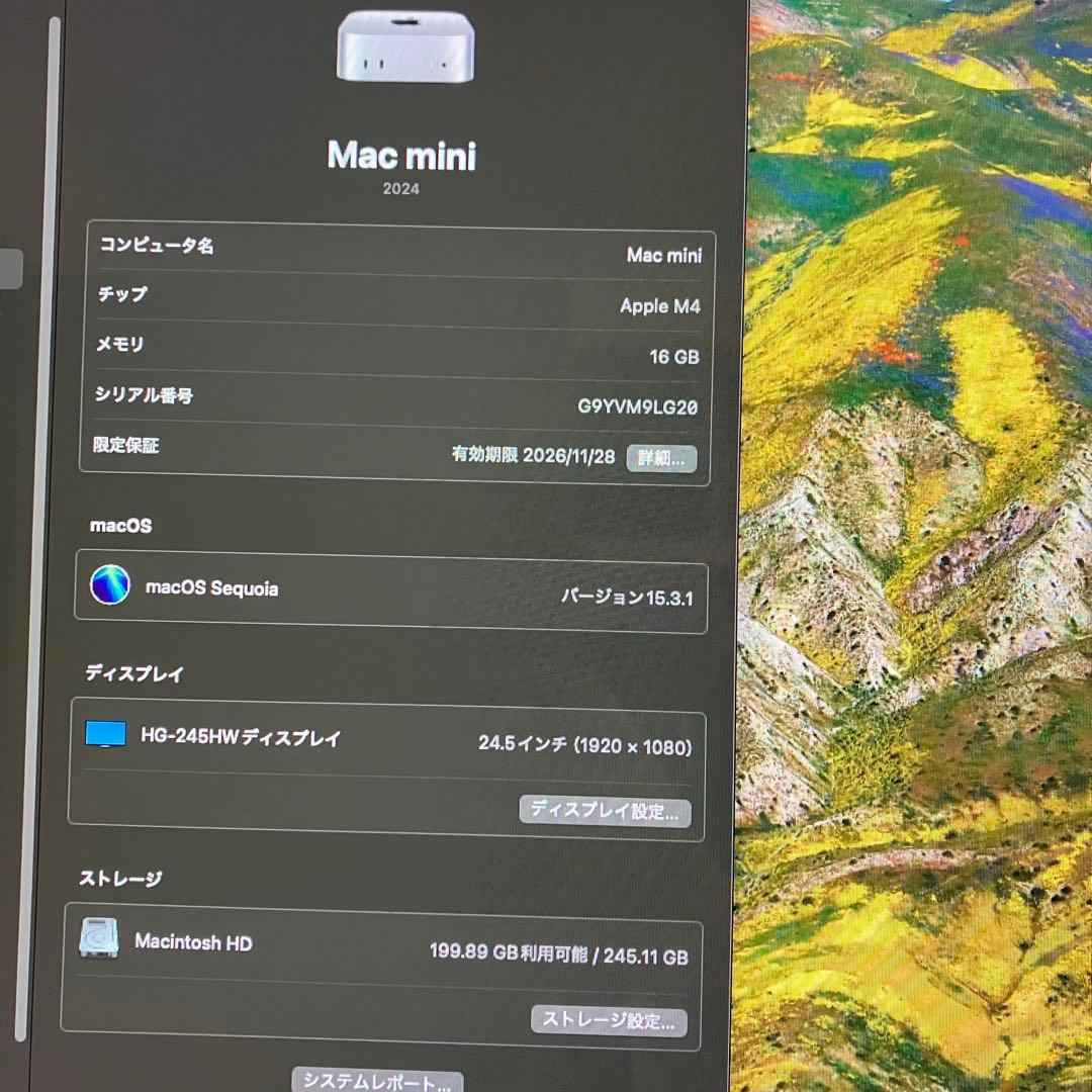Macデスクトップ Apple Mac mini M4