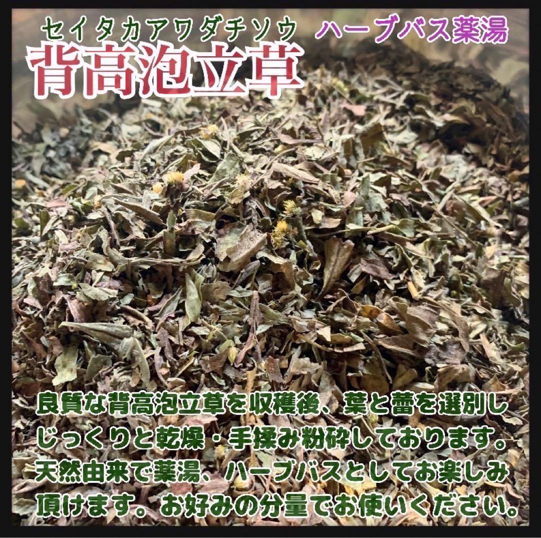 【天然ハーブ】背高泡立草　セイタカアワダチソウ1kg 個包装80個前後　良質