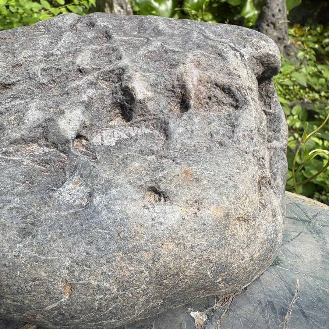 【お値下げ 希少 八海山石6.5kg ウブ石】アクアリウム ジャグレ石 水無川