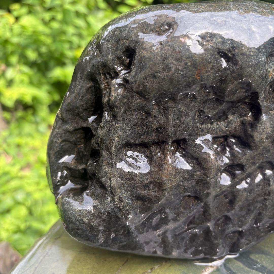 【お値下げ 希少 八海山石6.5kg ウブ石】アクアリウム ジャグレ石 水無川