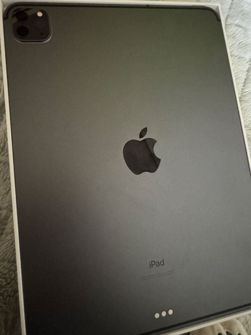 iPad Pro 11インチ 第2世代 128GB Cellularモデル