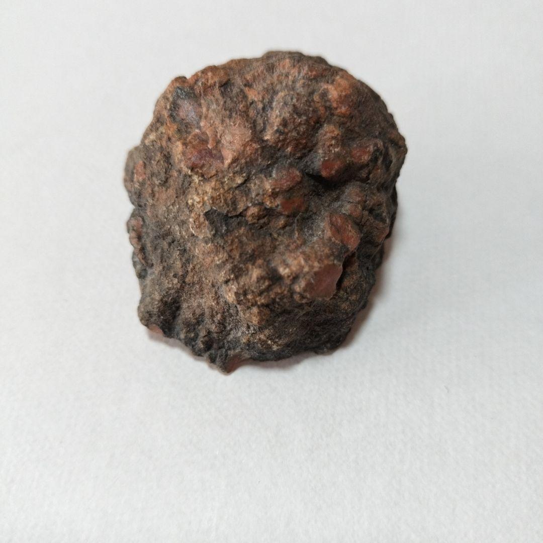 恐竜の糞石