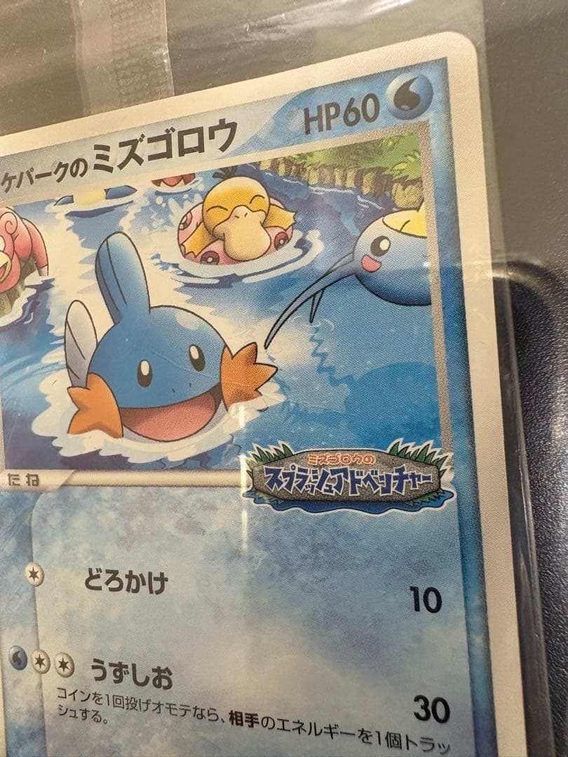 ポケパークミズゴロウ、アチャモ未開封セット