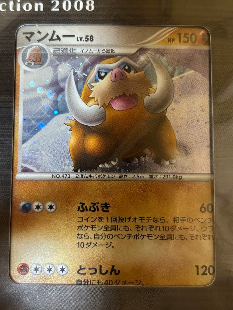 未開封　ポケモン映画プレミアムカードコレクション2008