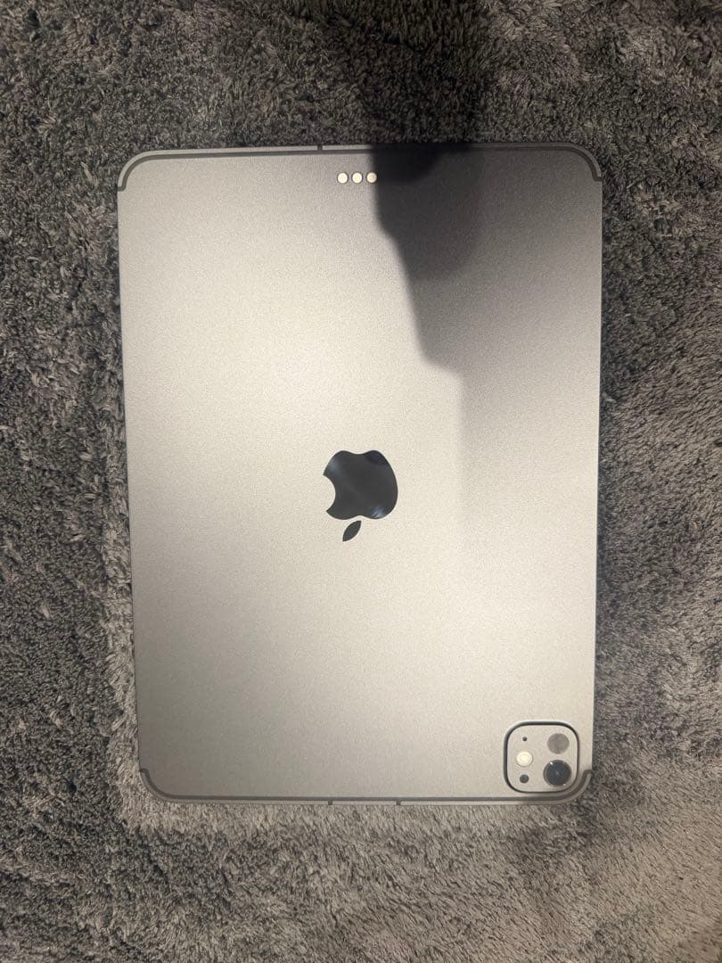 iPad Pro 11インチ M5 Wi-Fi + Cellular 256GB