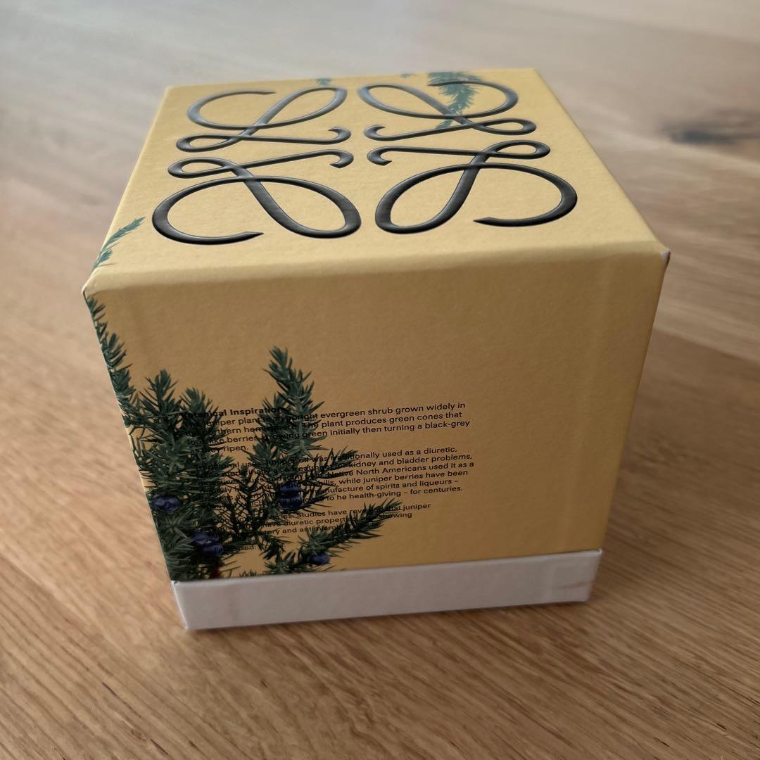 LOEWE サイプレスキャンドル 未使用品
