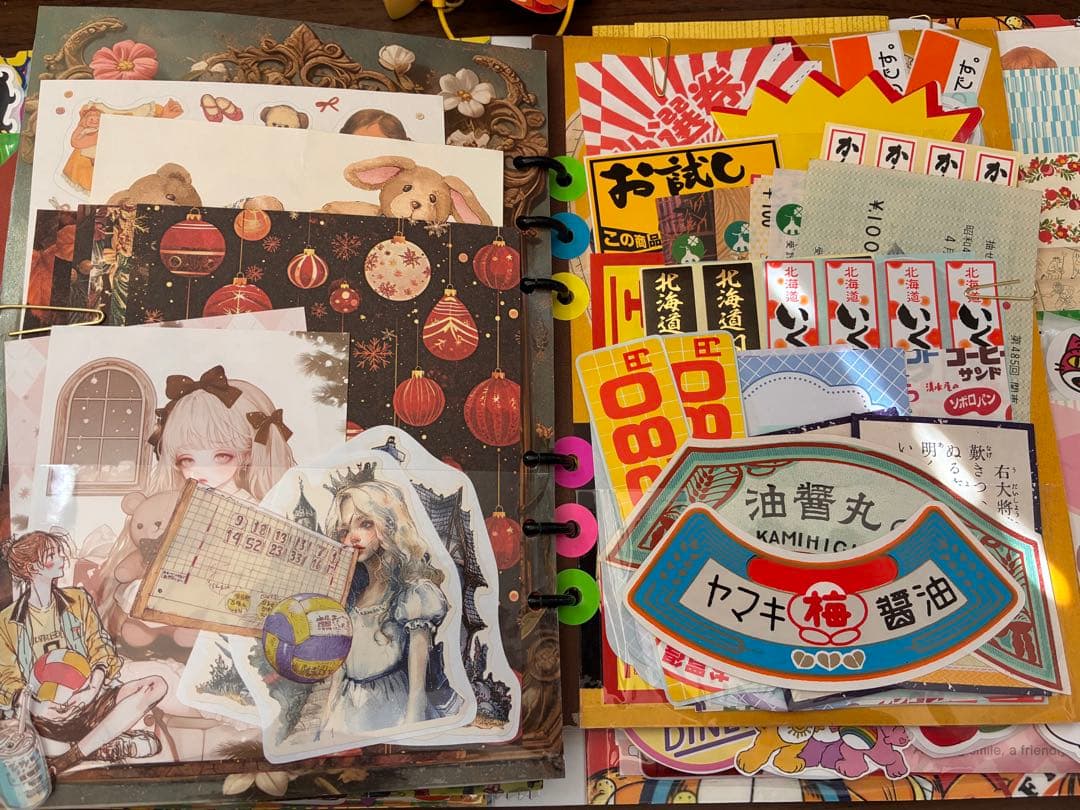 紙モノおすそ分けバインダー♦特大 大容量♦ジャンルmix♦(ネ)