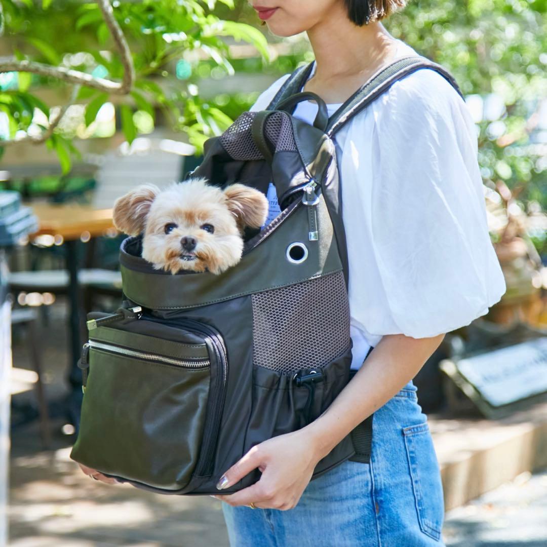 【 citydog / シティドッグ 】 シティバックパック キャリー