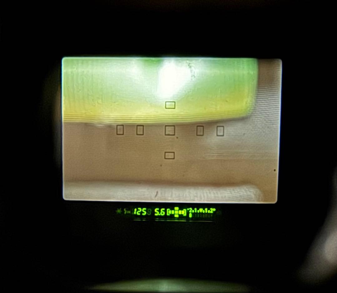 フィルム一眼レフカメラ　Canon EOS Kiss Lite 動作品