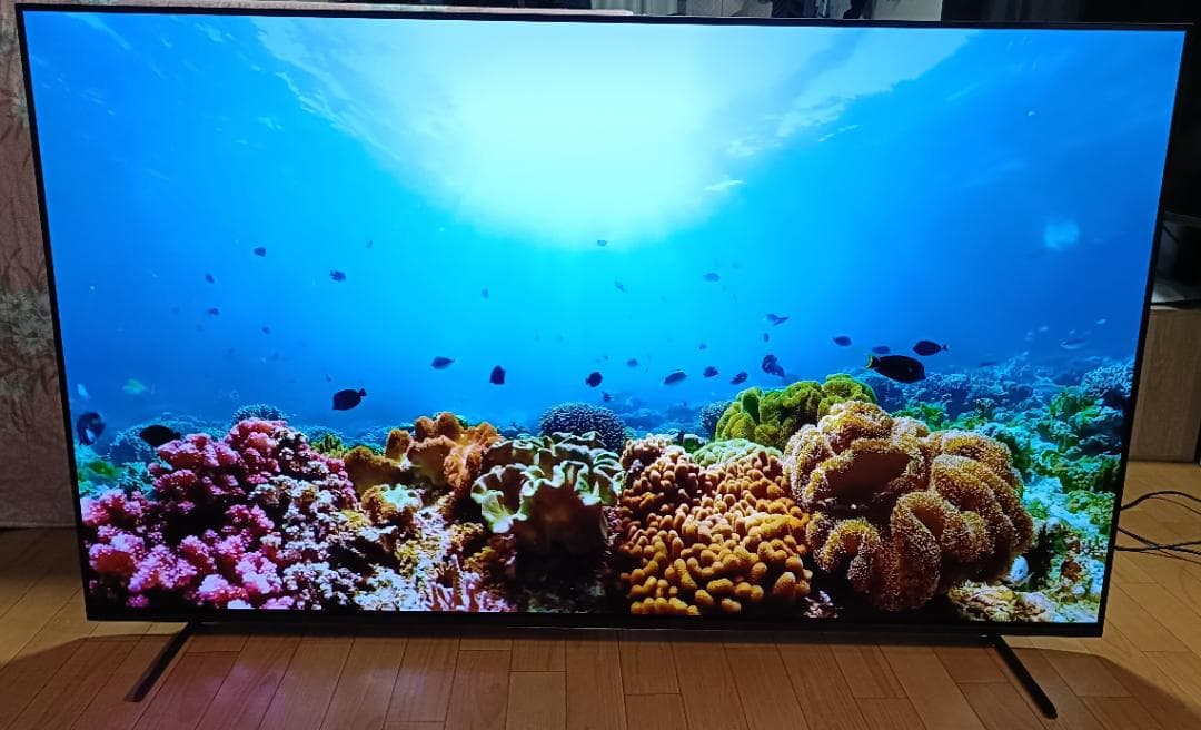 美品 22年製 65V型 SONYBRAVIA XRJ-65A80K 有機EL