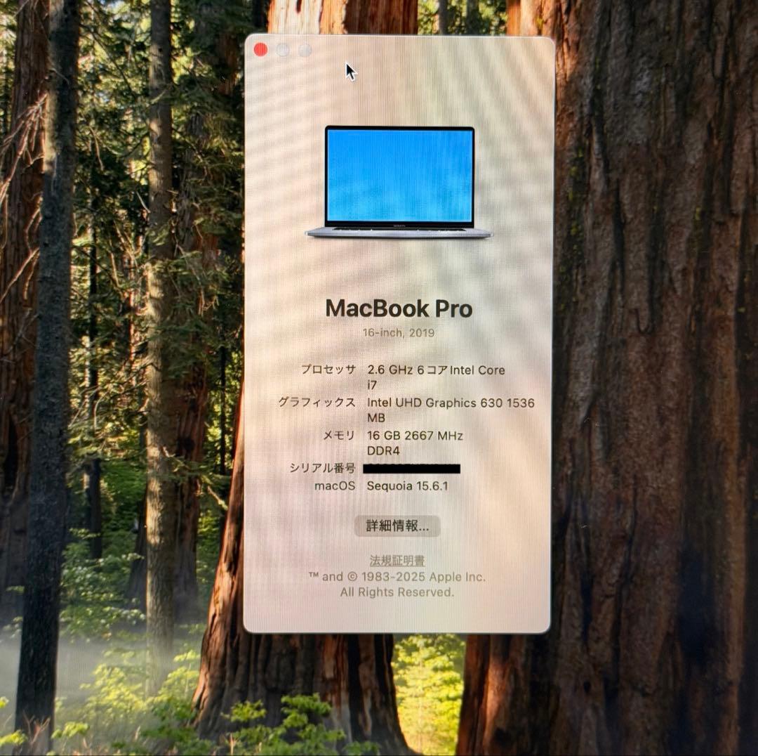 MacBook Pro 16インチ 2019 i7 16GB/512GB