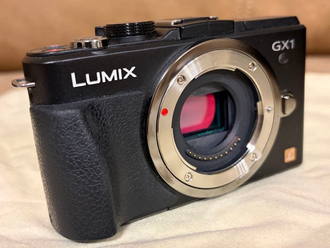 LUMIX GX1 ミラーレスカメラ ズームレンズ付き