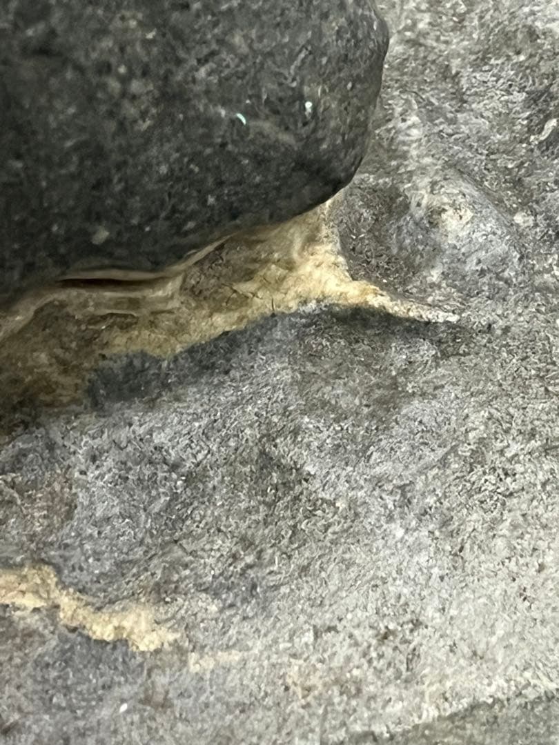 芽舎石　水石　観賞石　盆栽添