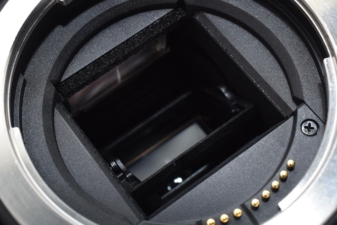 ✨美品✨Canon EOS Kiss X10 初心者 動作品 スポーツ撮影向け