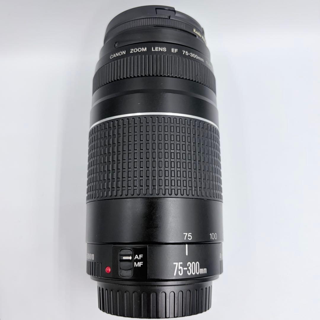 【美品】Canon EF 75-300mm 1:4-5.6 III USM
