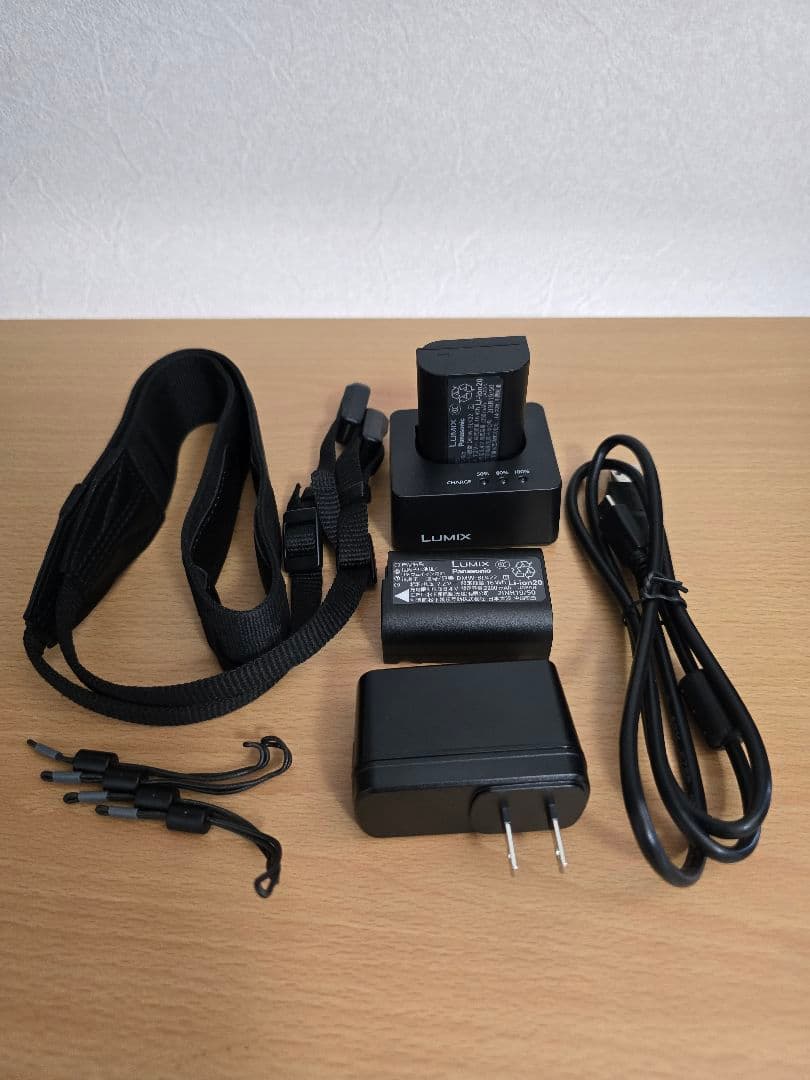 Panasonic LUMIX S5IIX ボディ 付属品有
