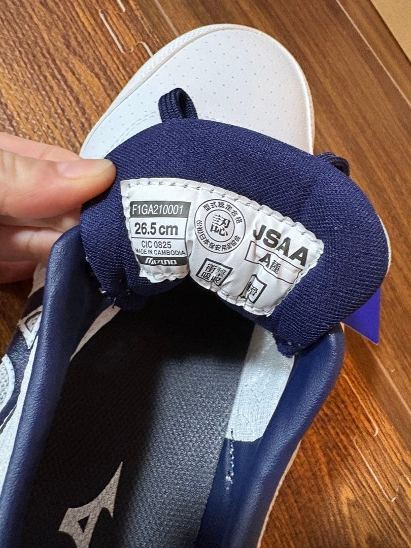 ミズノ安全靴 ミズノ 安全靴 MIZUNO
