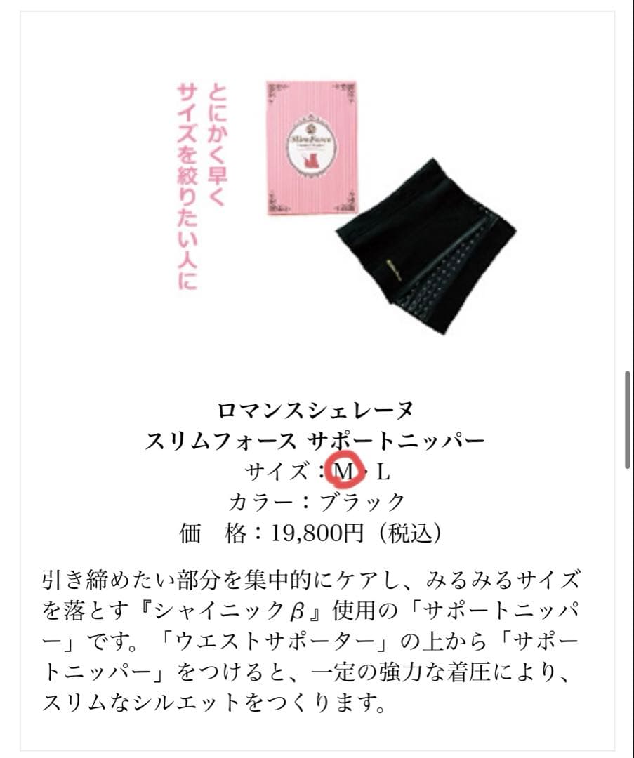 スリムフォース　6点セット