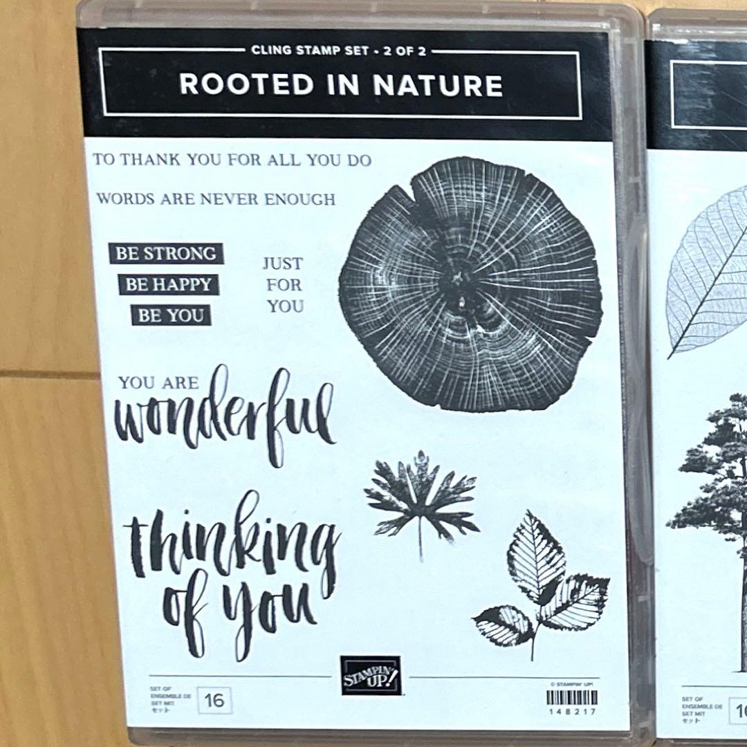 スタンピンアップ　スタンプ&ダイの3セット　【ROOTET IN NATURE】