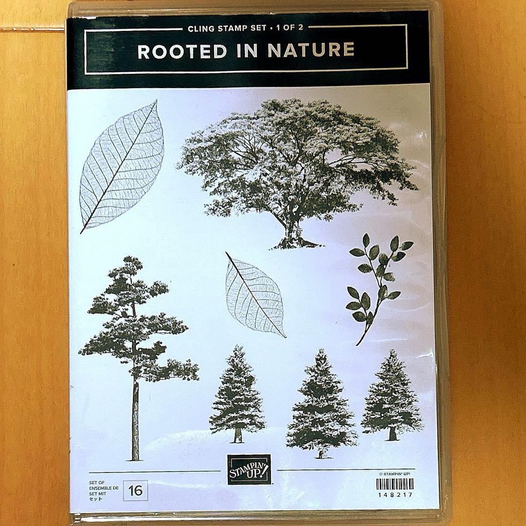 スタンピンアップ　スタンプ&ダイの3セット　【ROOTET IN NATURE】