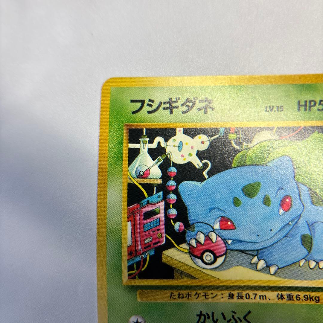 ポケモンカード　旧裏　フシギダネ　イントロパック