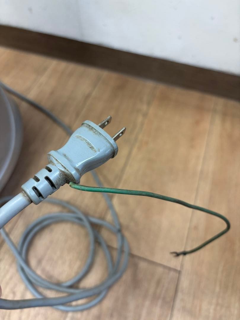 白猫好き