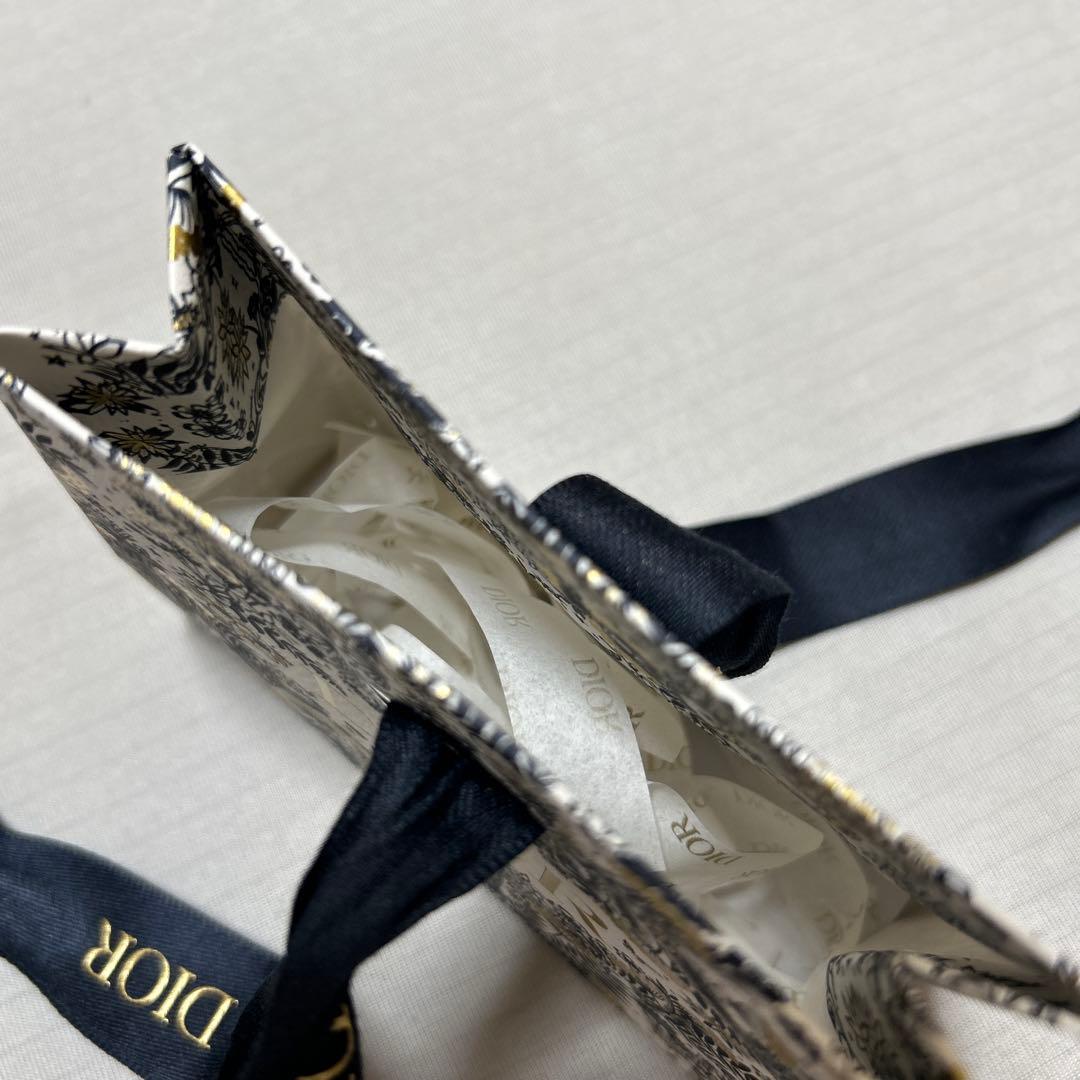 Dior リップグロス 100 Dreams