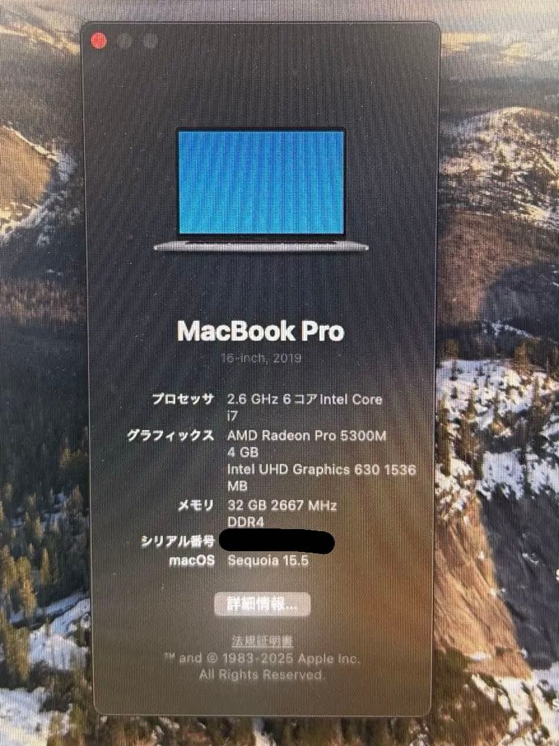MacBook本体 MacBook Pro 16inch 2019