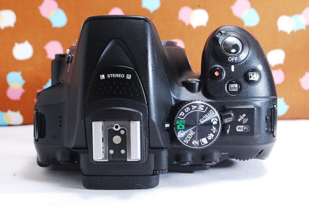 ✨Wi-Fi搭載機種✨美品✨Nikon D5300 ダブルレンズセット