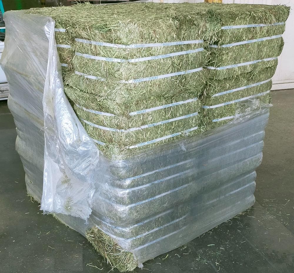【8/31まで】US産 チモシー 30kg ２番刈 ソフトSプレミアム