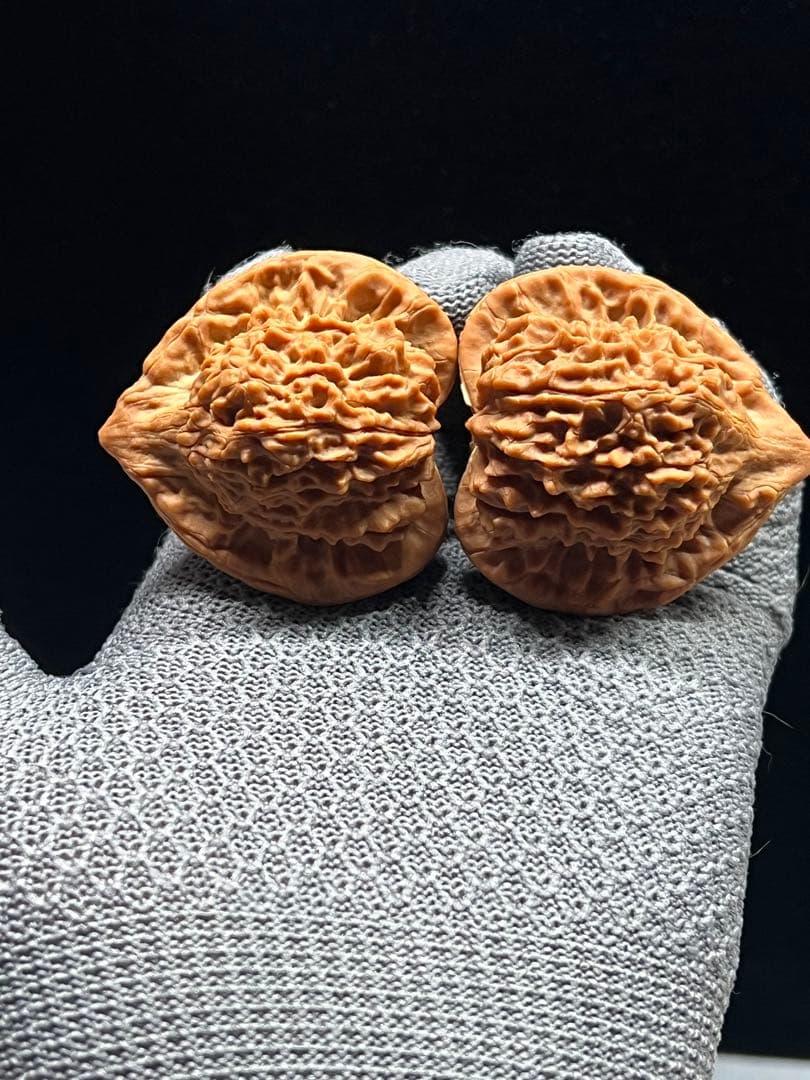 文玩堂：朱雀文玩胡桃（ハイグレード品）