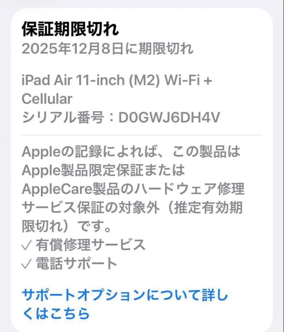 iPad Air（M2）Wi-Fi+Cellular 11インチ 128GB