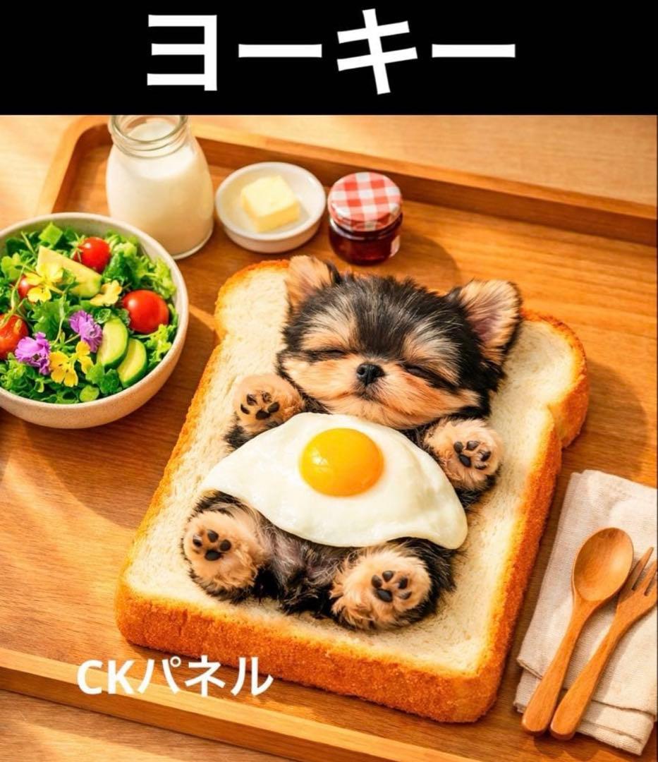 ❤️オーダー製作お受付用　確認用生地一部 297❤️