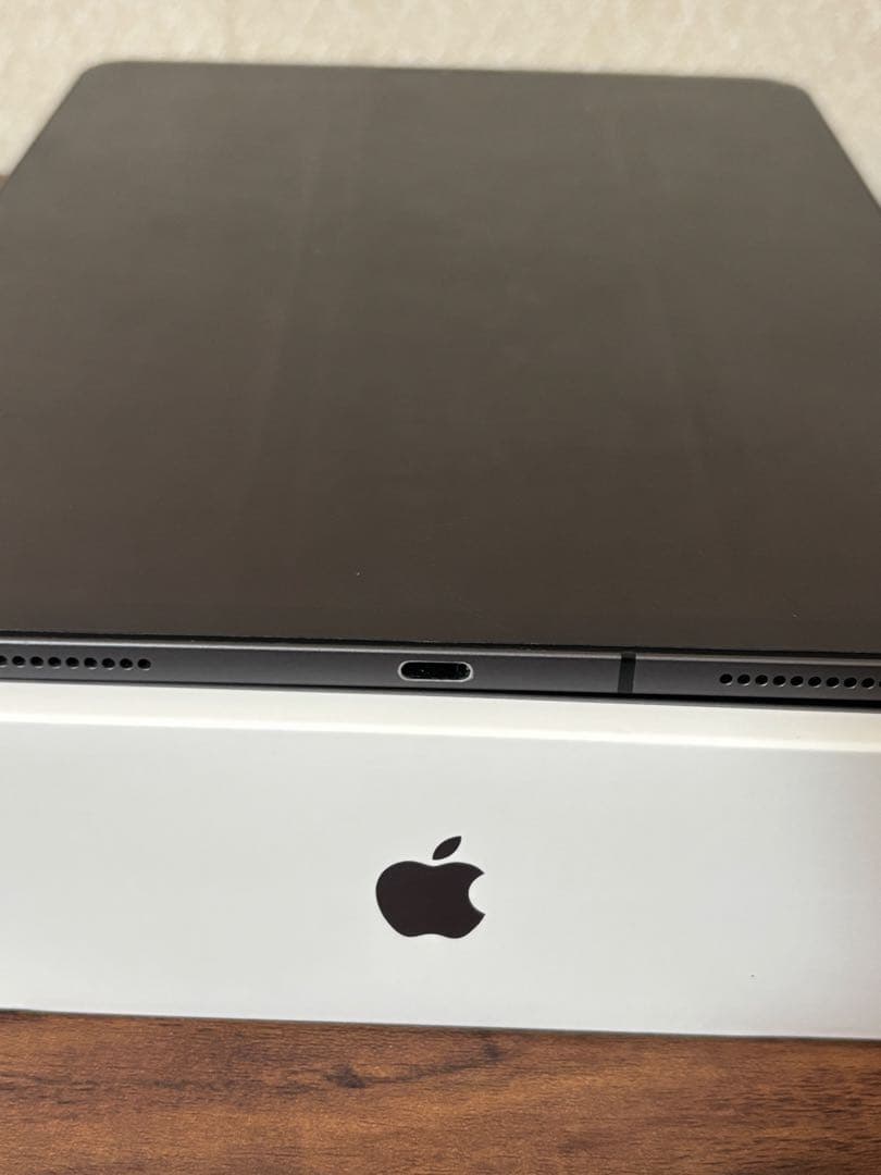 iPad Pro 11インチ256GB セルラーモデル　スペースグレイ 箱付き