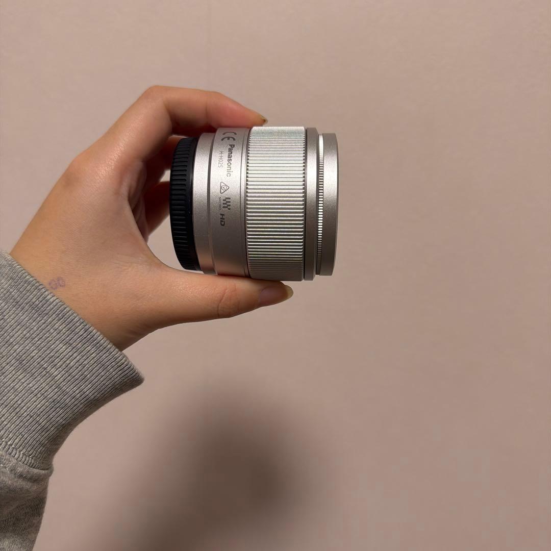 Panasonic LUMIX DC-GF10 ダブルレンズキット