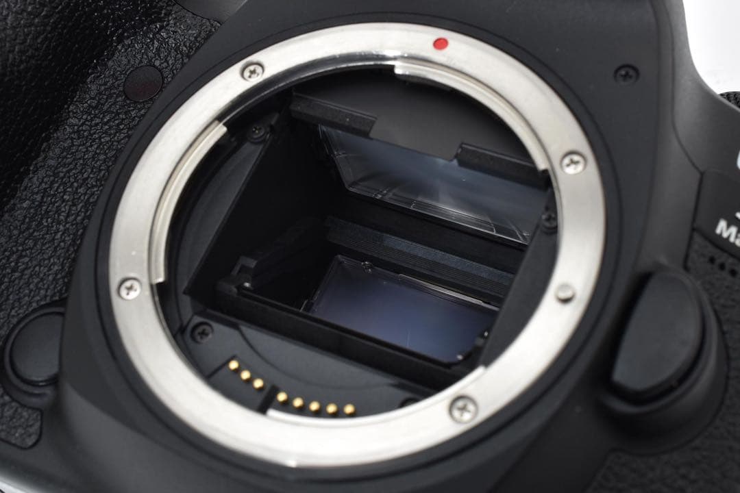 Canon EOS 5D Mark IV/EF35-80㎜/EF75-300㎜