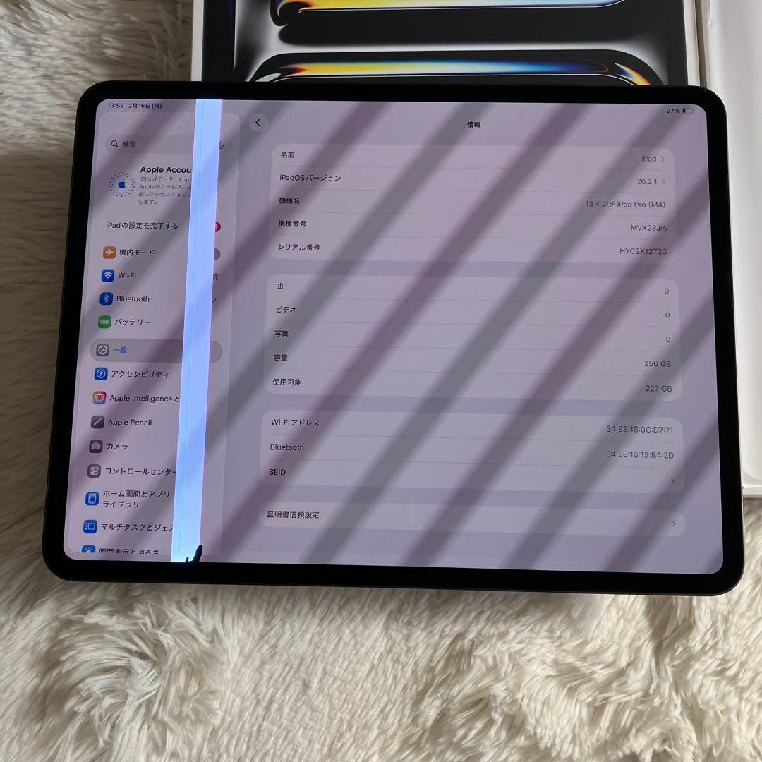 【3/1販売終了】iPad Pro 13インチ256GB M4 【すぐ発送】