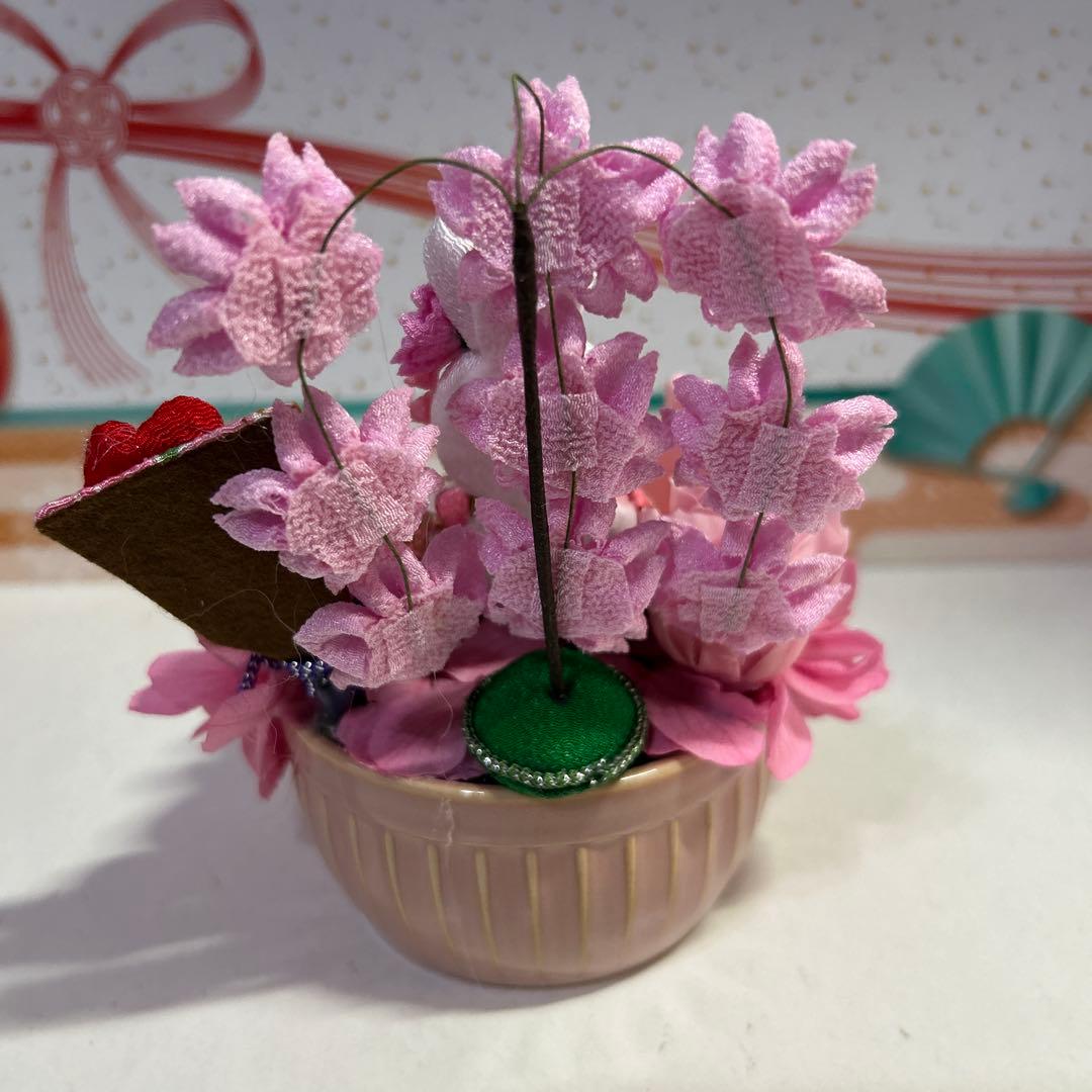 メープル❣️
