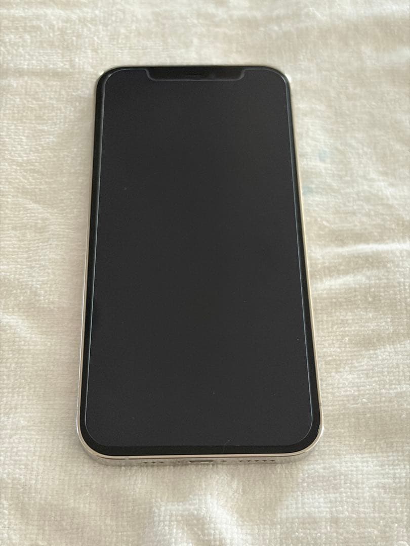 Apple iPhone 12Pro シルバー 本体 256GB